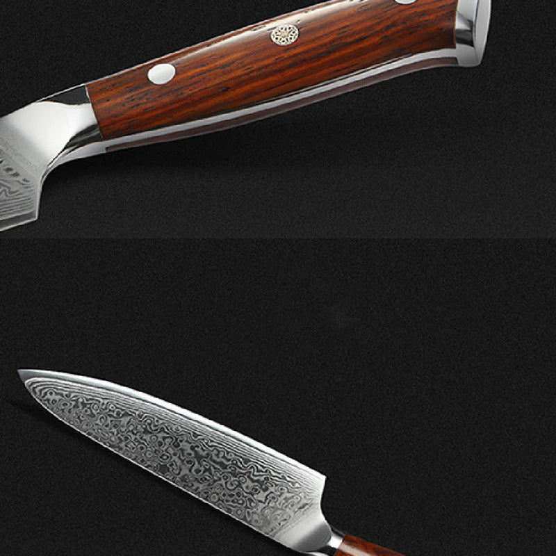 Damascus Steel Universal Knife