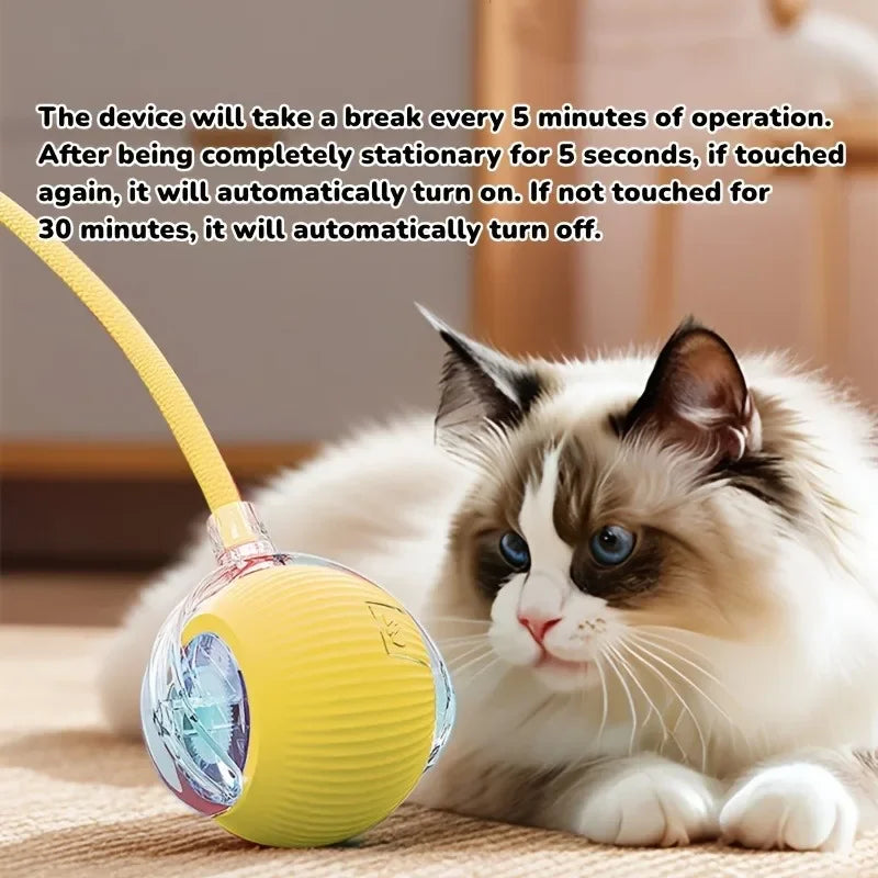 Rechargeable Interactive Cat Toy - Rolling Ball with Tail & Smart Mouse Features